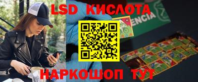 индика Комсомольск-на-Амуре