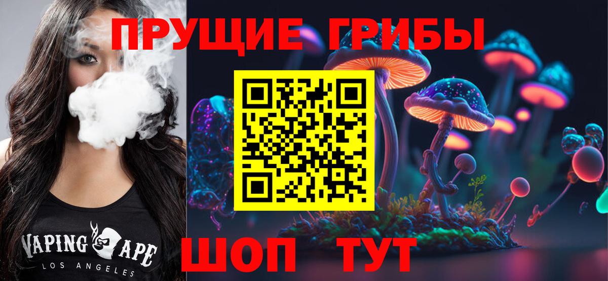 Псилоцибиновые грибы MAGIC MUSHROOMS  Вход с VPN  Нижний Тагил 